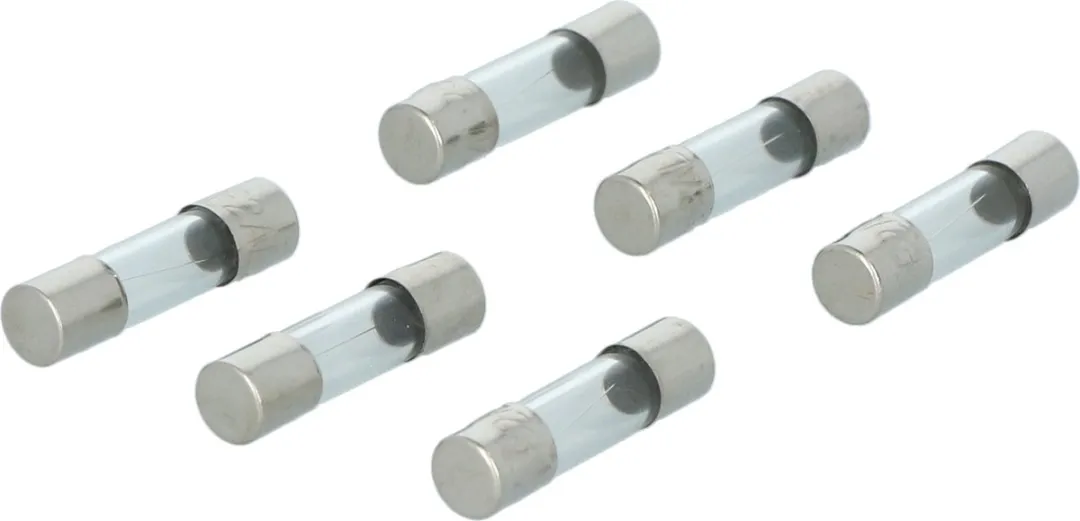 Carpoint Radiozekering 2A - 6 Stuks