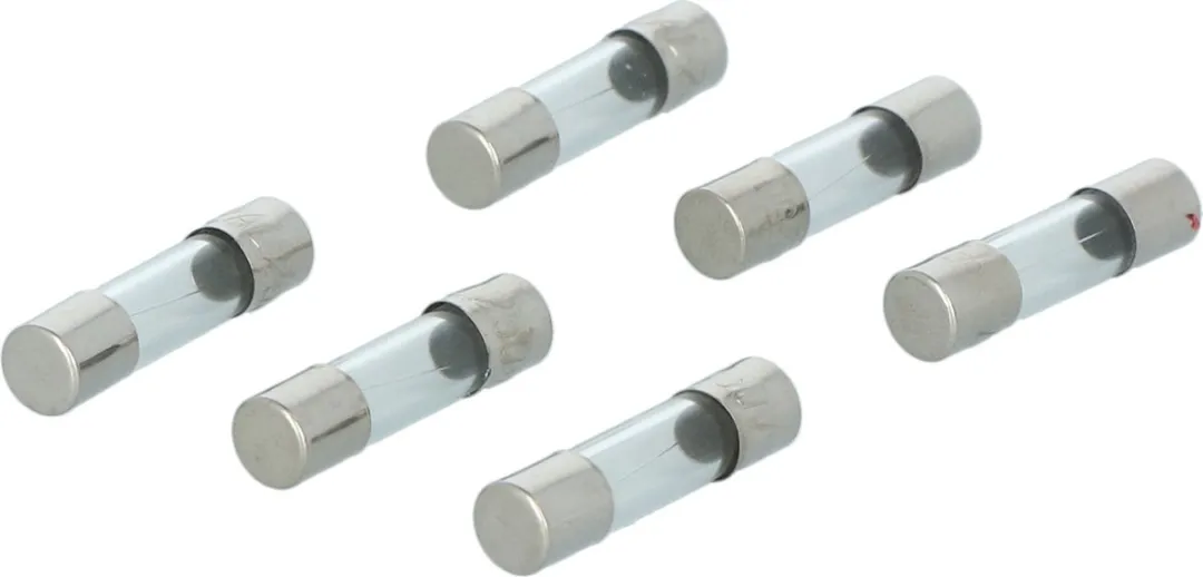 Carpoint Radiozekering 2A - 6 Stuks