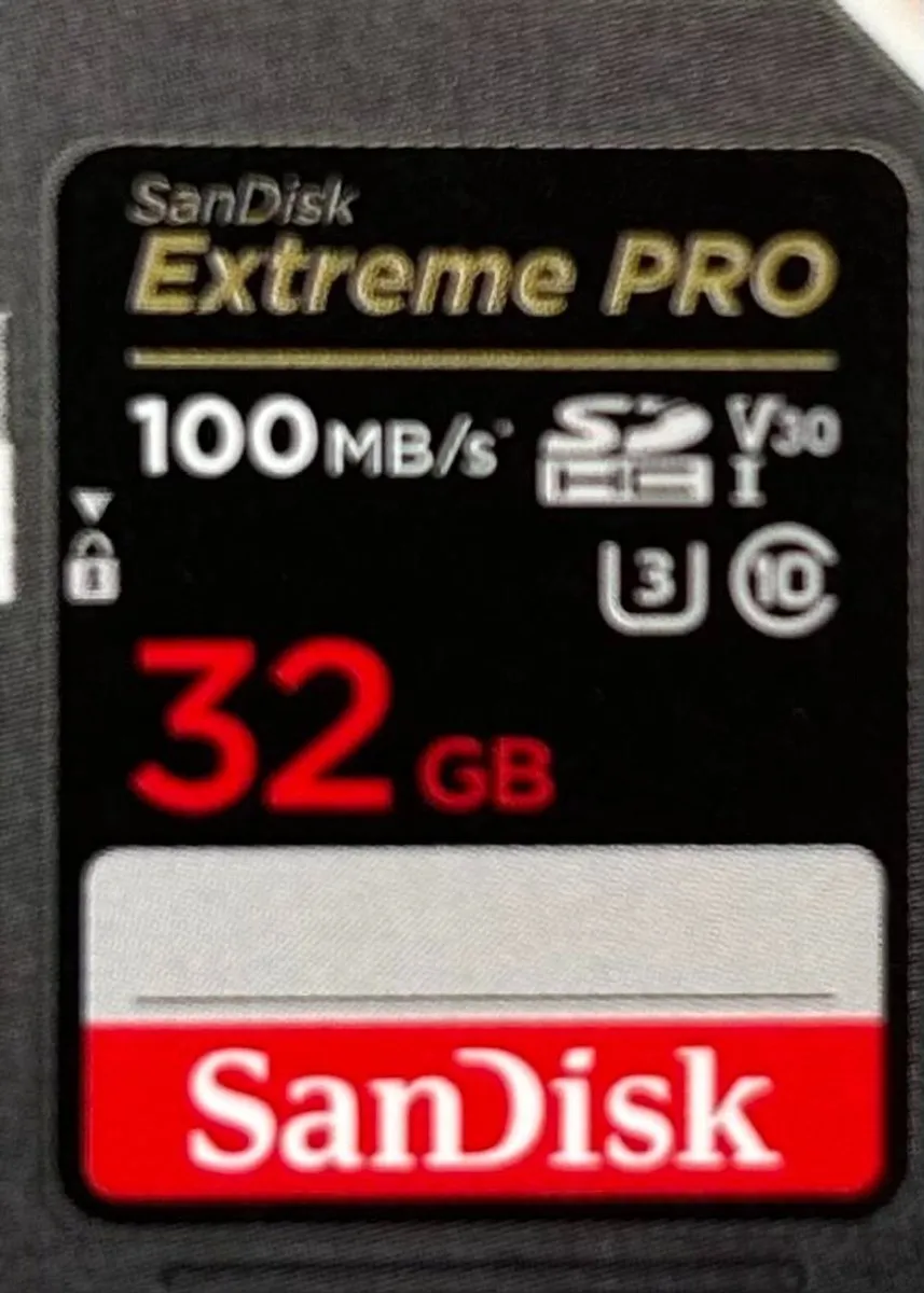 SanDisk SDSDXXG-032G-GN4IN SDHC Geheugenkaart 32GB - Extreme Pro