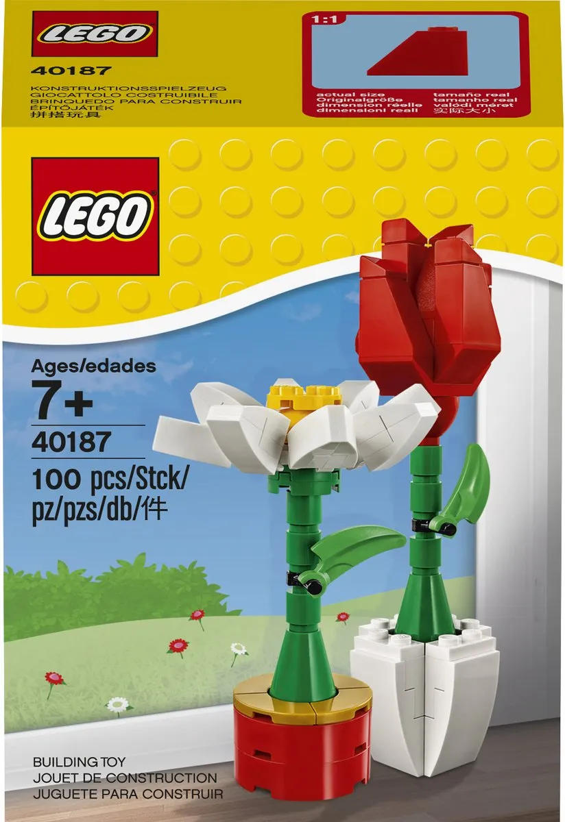 LEGO Bloemenpracht 40187 - 100 Stukken - Multikleur - afbeelding 5 van 6