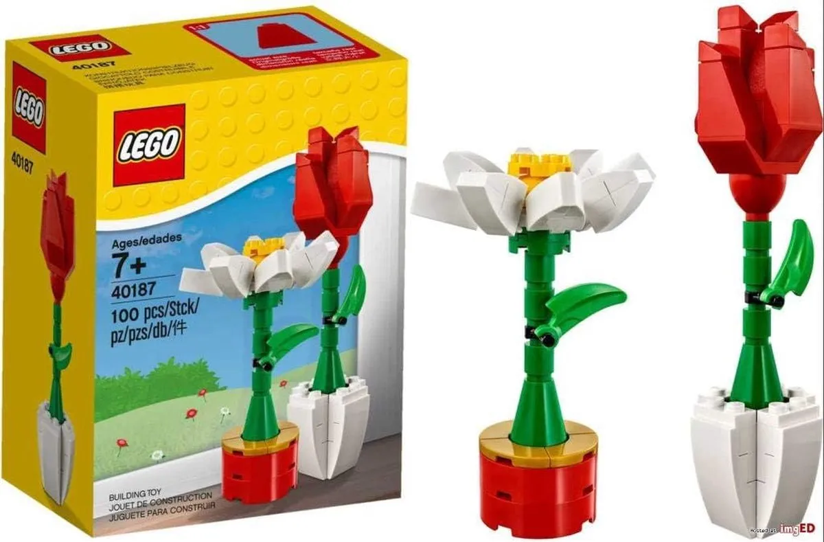 LEGO Bloemenpracht 40187 - 100 Stukken - Multikleur - afbeelding 6 van 6