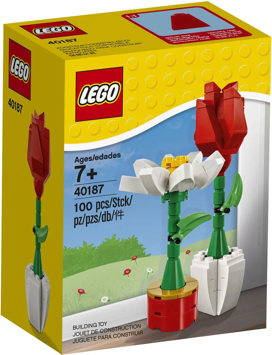 LEGO Bloemenpracht 40187