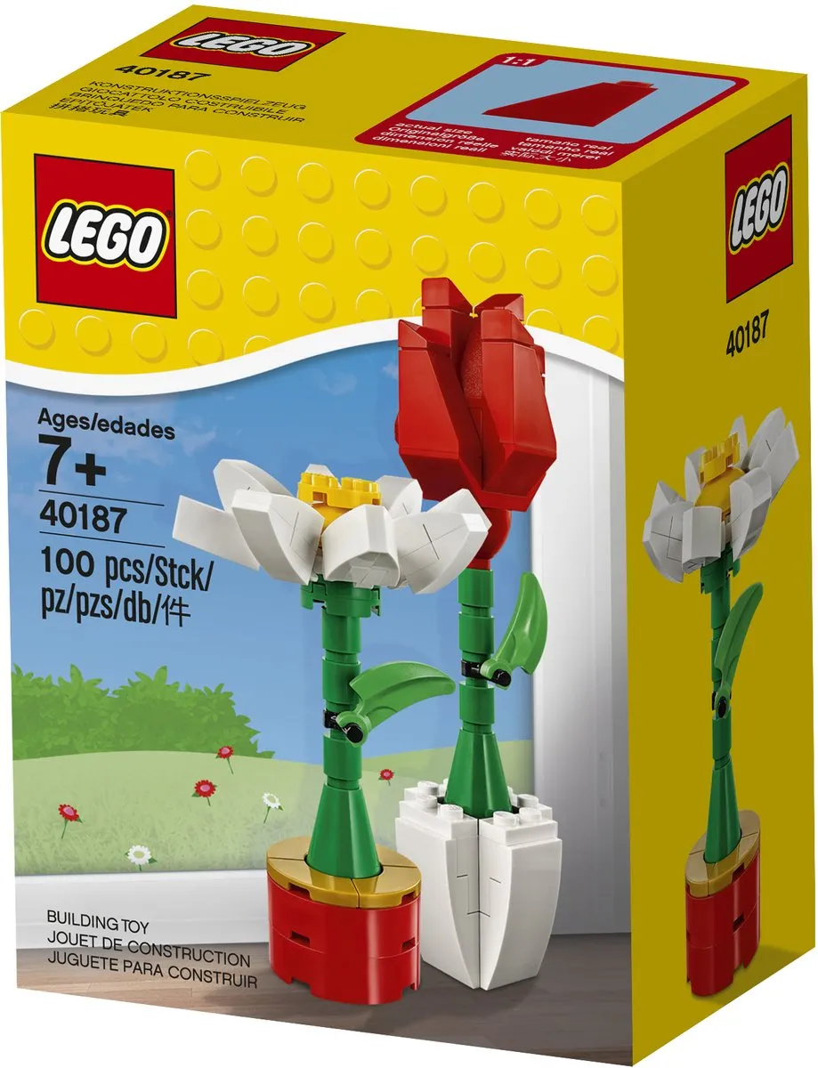 LEGO Bloemenpracht 40187 - 100 Stukken - Multikleur - afbeelding 2 van 6