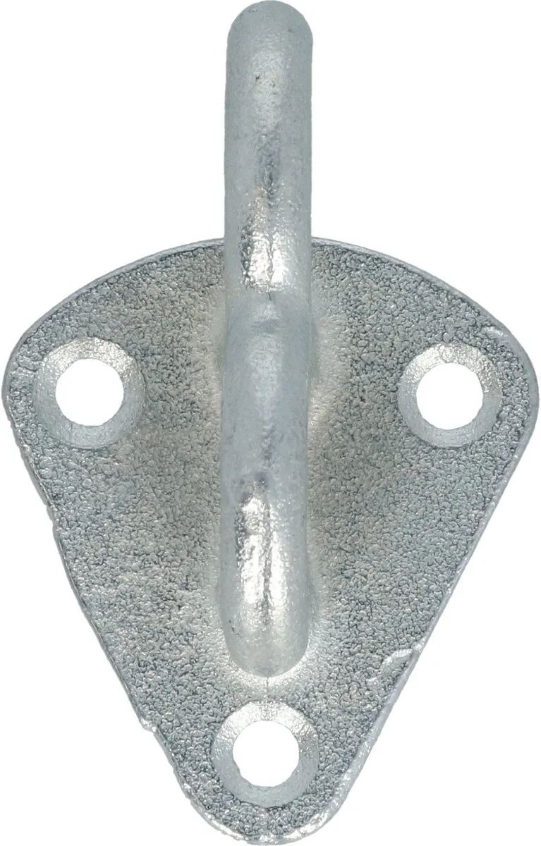 Carpoint Touwhaak met Oog Staal - 4 Stuks - Zilver