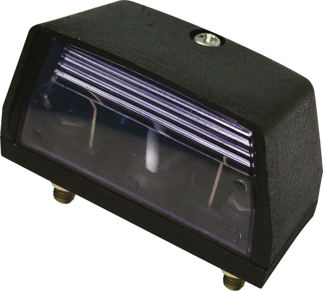 Carpoint Kentekenverlichting 12V 70x33mm