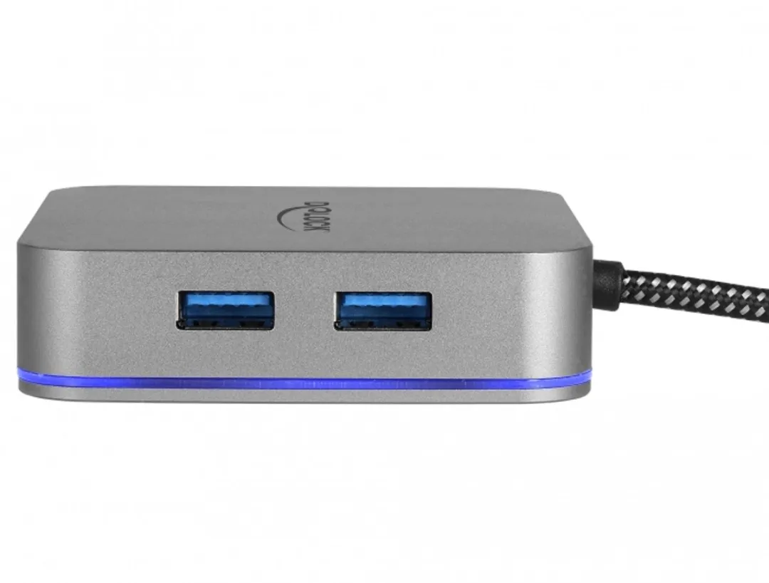 Delock 87742 USB-C Docking Station 4K - Grijs