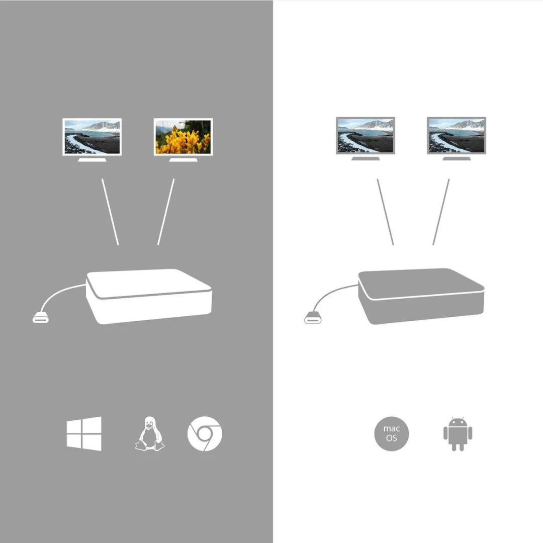 I-tec C31DUAL4KHDMI USB-C naar Dual HDMI 4K Adapter - Zwart