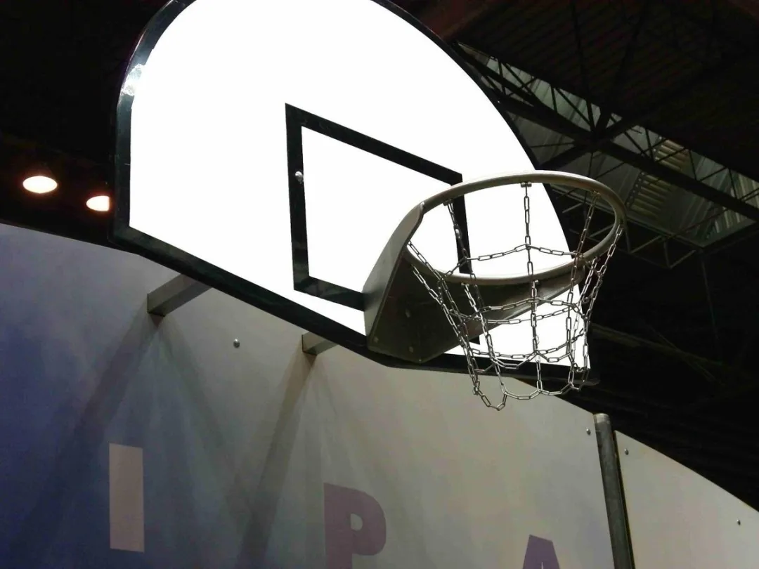Intergard Basketbalring RVS 75001000 - Groen - afbeelding 6 van 6