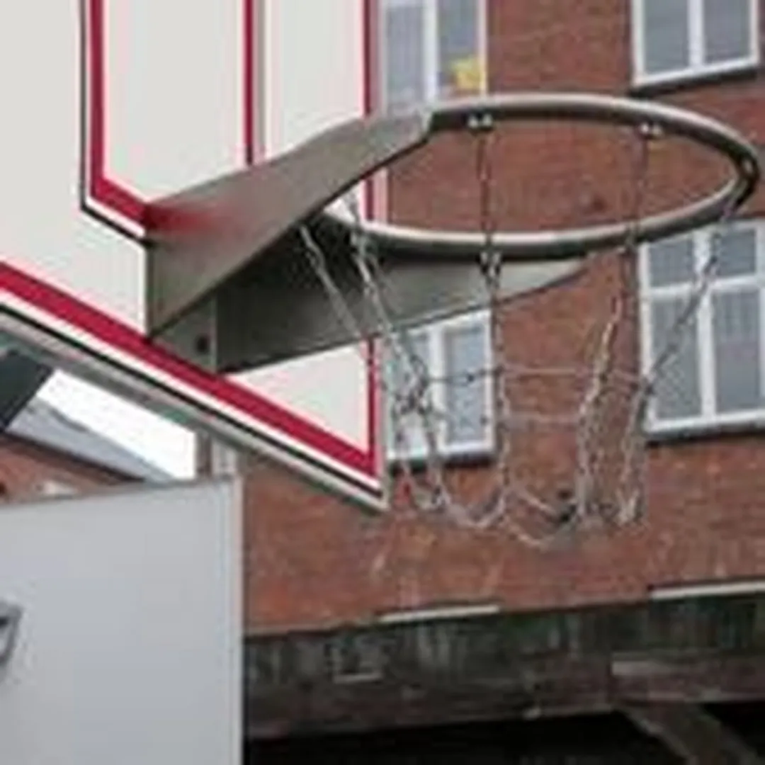 Intergard Basketbalring RVS 75001000 - Groen