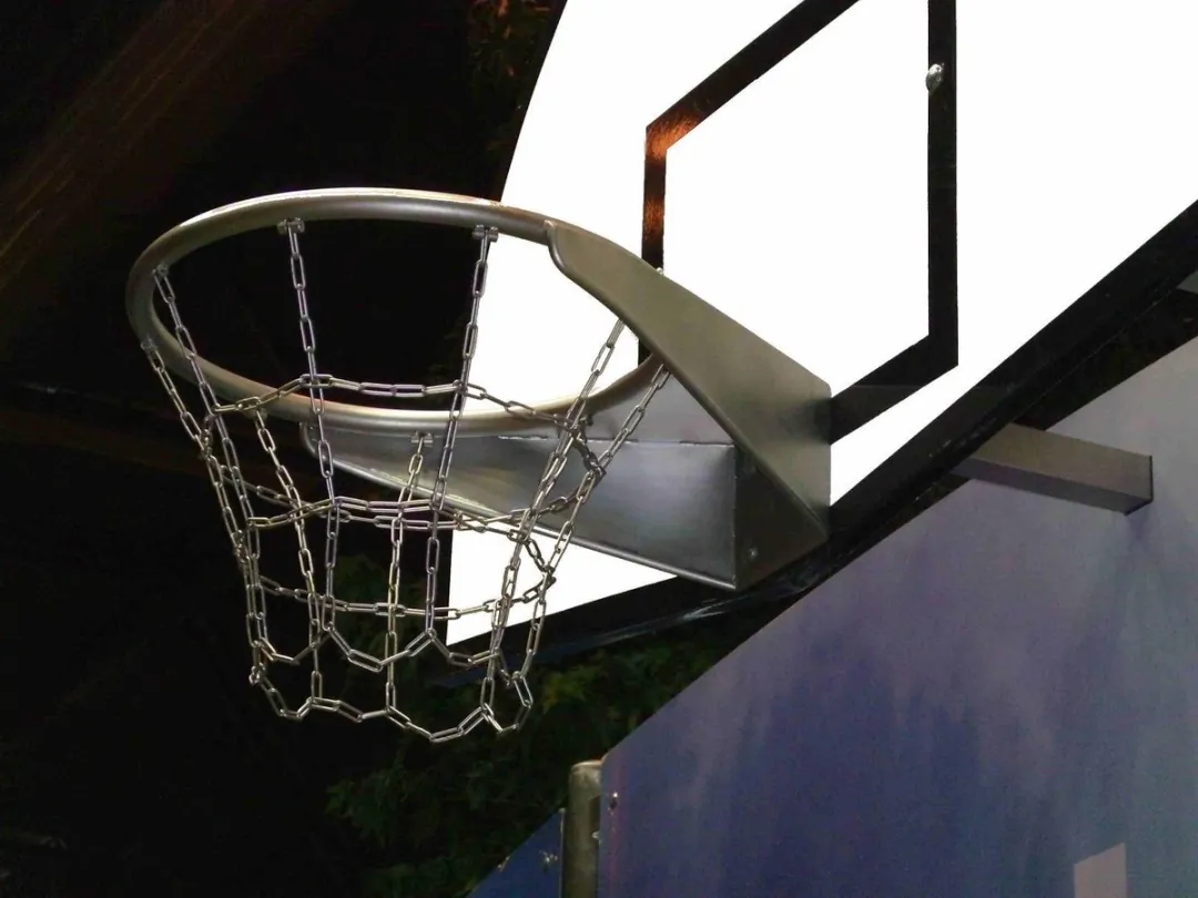 Intergard Basketbalring RVS 75001000