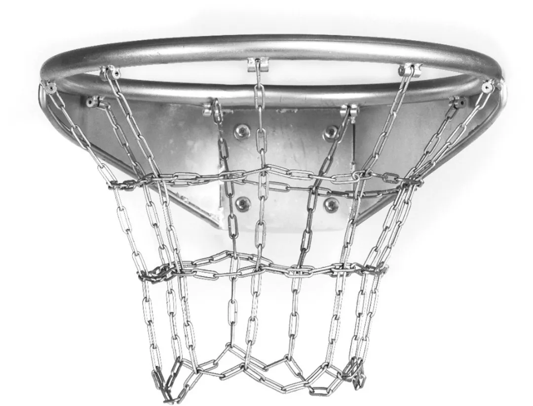 Intergard Basketbalring RVS 75001000 - Groen