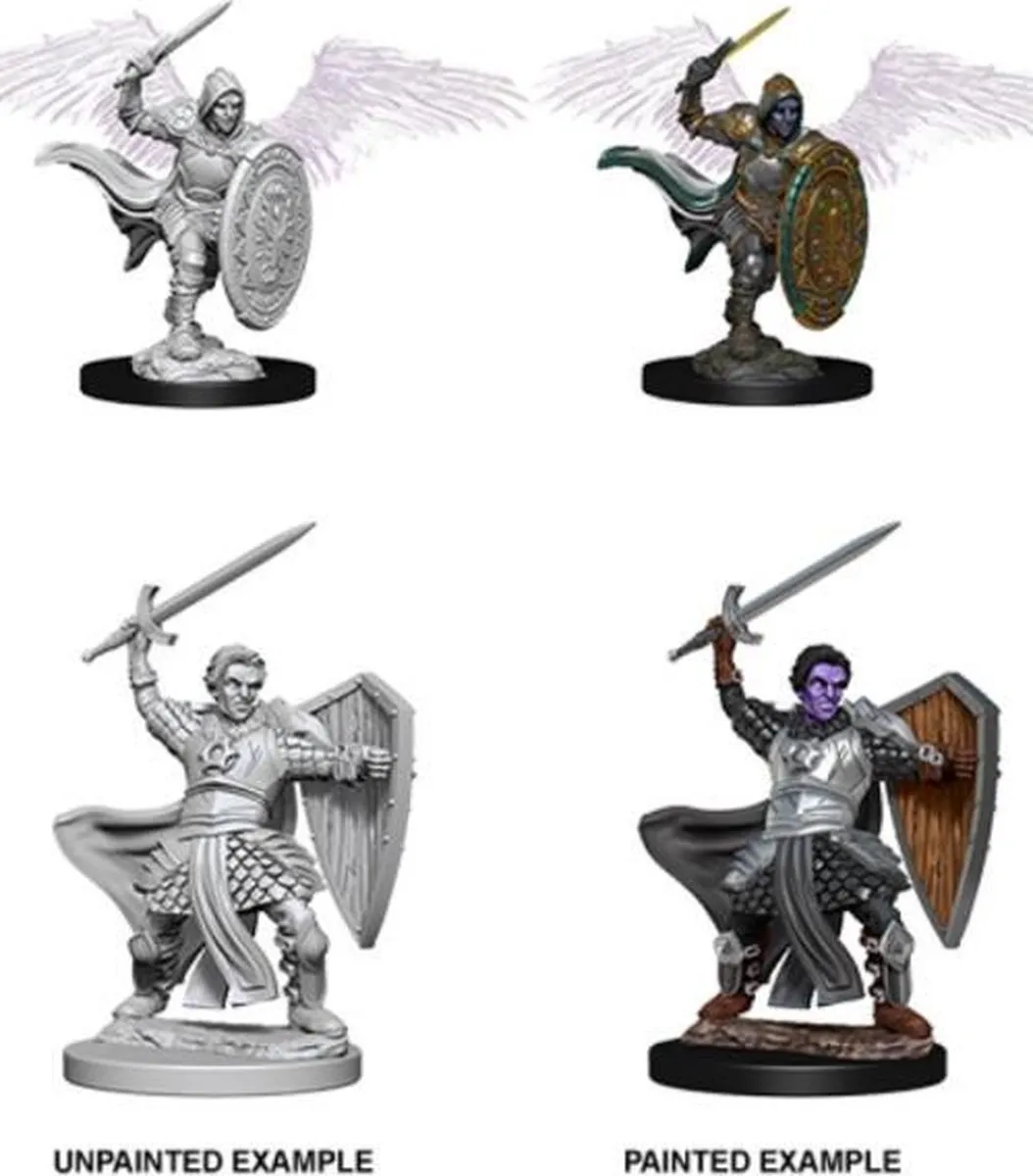 Wizkids D&D Nolzur's Marvelous Miniatures Aasimar Paladin Male