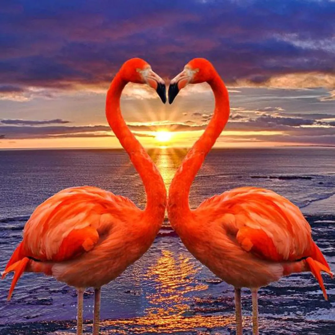 VDTOYS Diamond Painting VDTV031 Flamingo