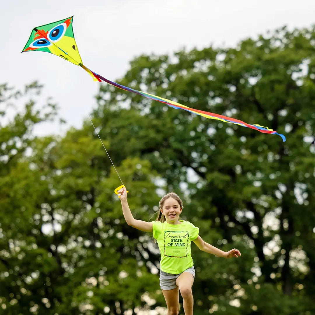 Schildkröt Classic Kite 70 Crazy Bird