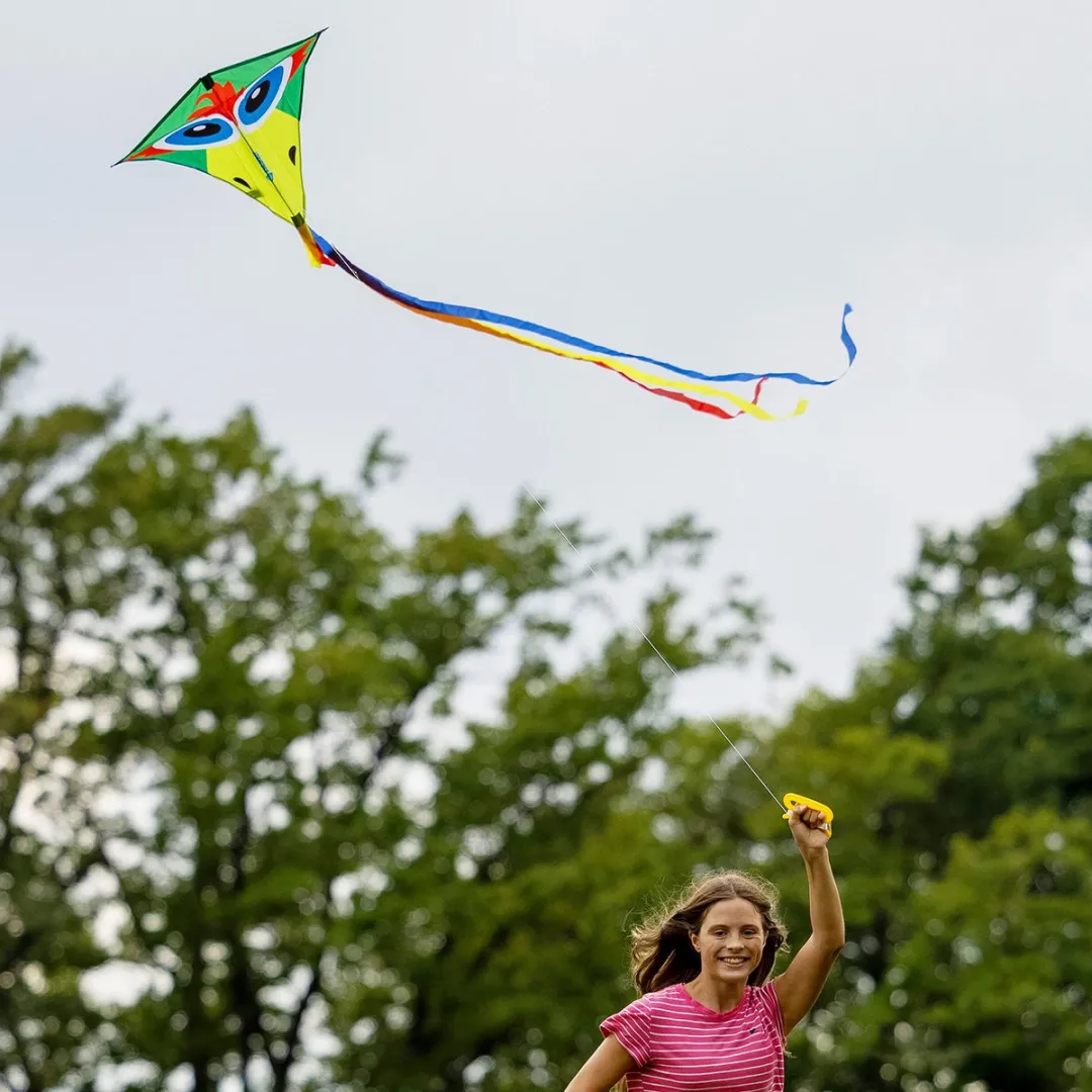 Schildkröt Classic Kite 70 Crazy Bird - Multicolor