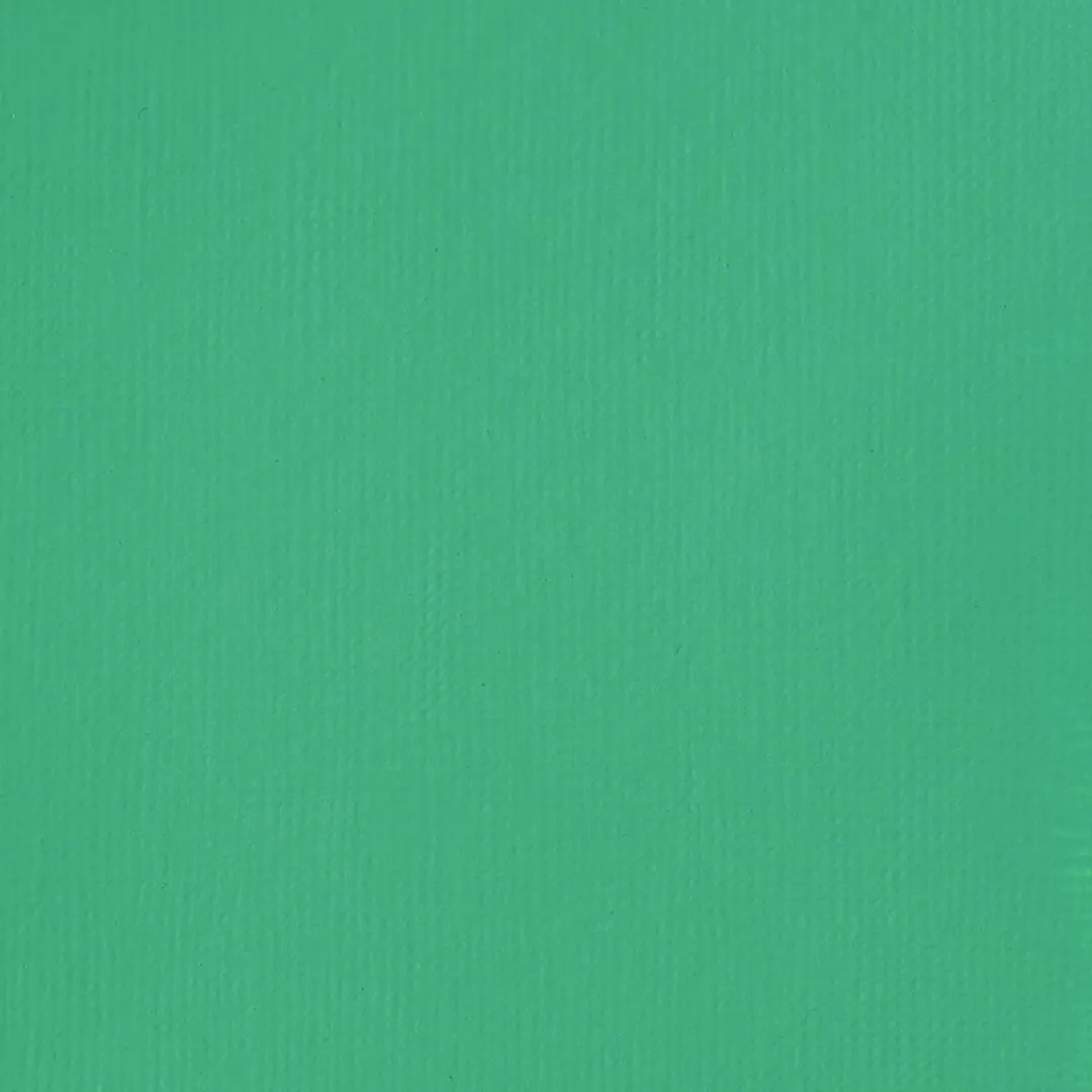 Liquitex 88700233 Basics Acrylverf Bright Aqua Green – 250 ml | Kunstenaars Acrylverf | Middelmatige Viscositeit | Lichtechte Kleur voor Schilderen & Canvas