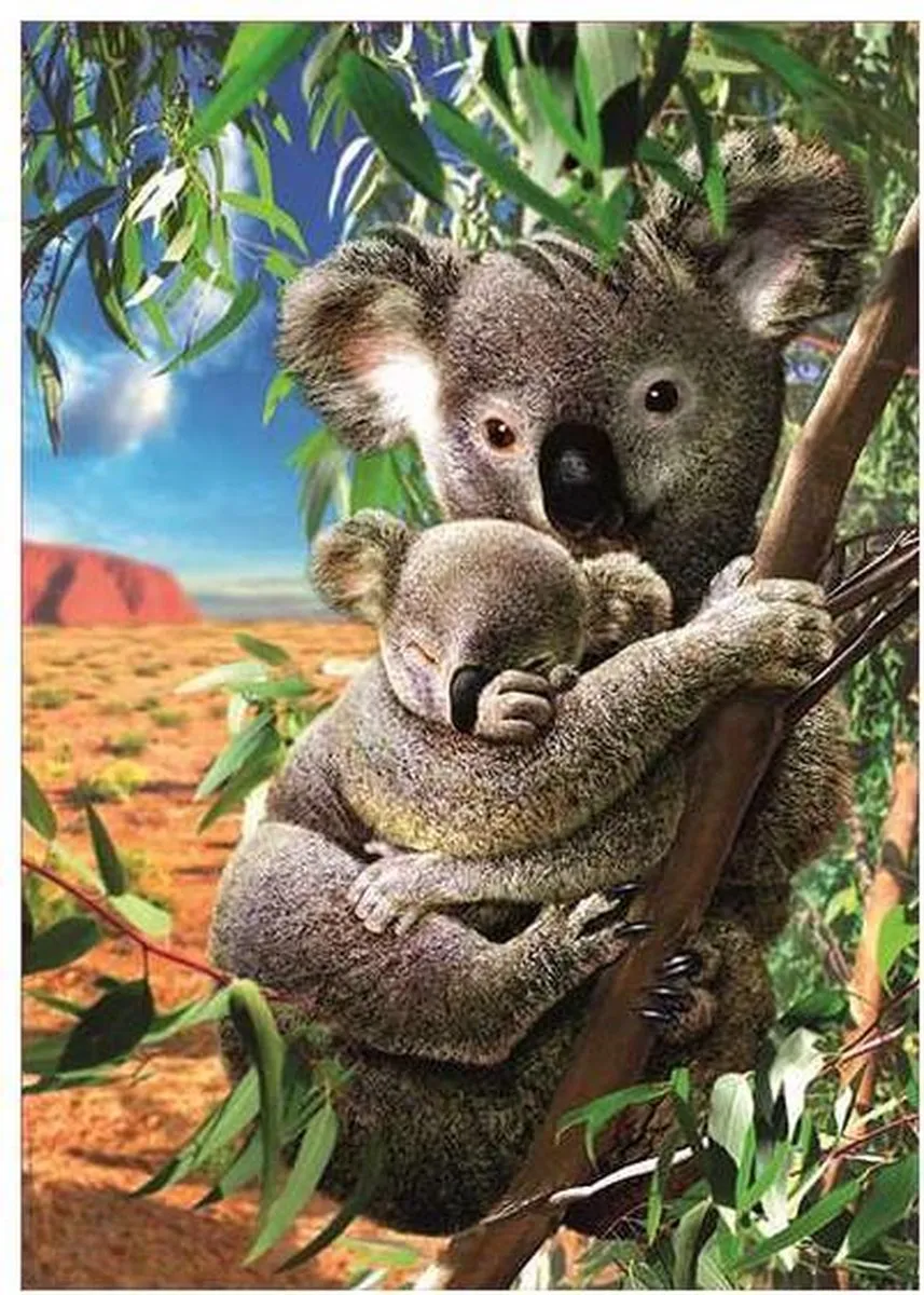 Educa Koala Puzzel 500 Stuks