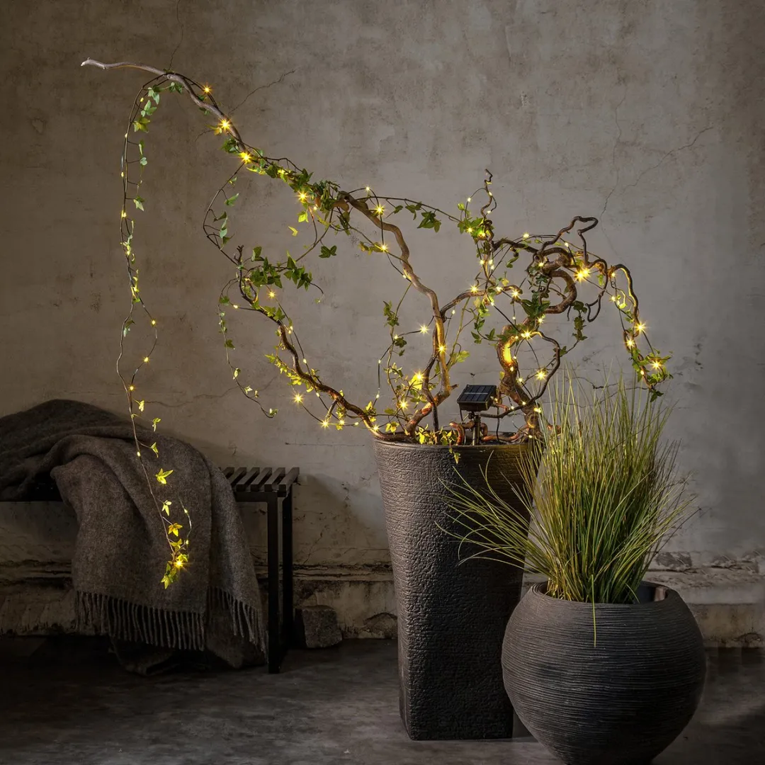 Star Trading Dew Drop Micro Solar Sprookjesverlichting 7,4m - Groen