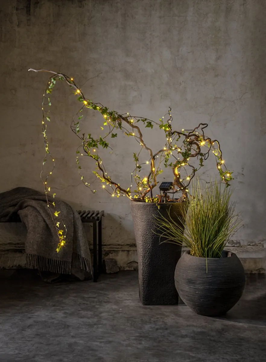 Star Trading Dew Drop Micro Solar Sprookjesverlichting 7,4m - Groen - afbeelding 6 van 6