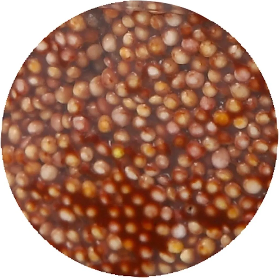 Foam Clay Bruin 35g