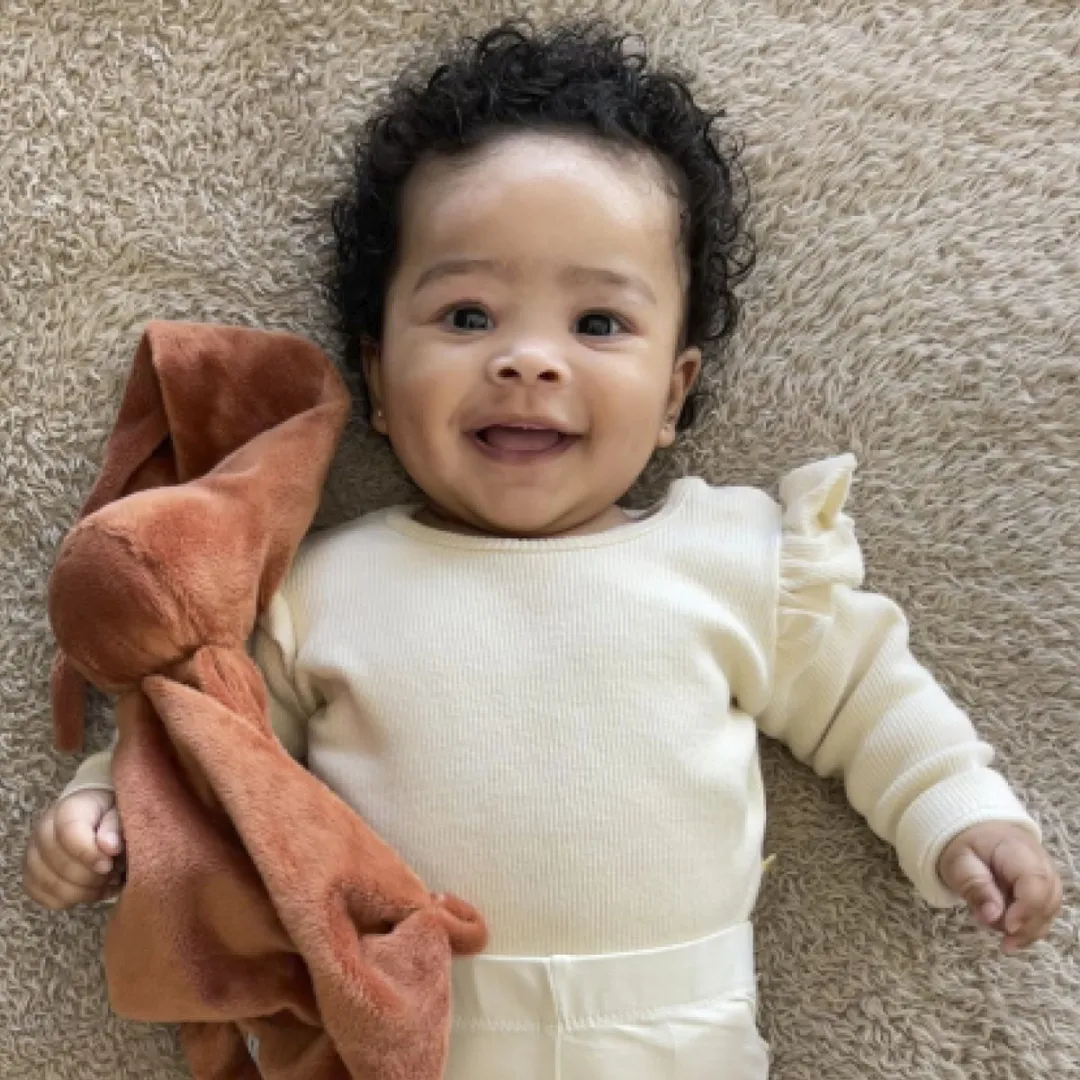 Difrax Knuffeldoekje - Bruin - Pluche knuffels - Vanaf geboorte