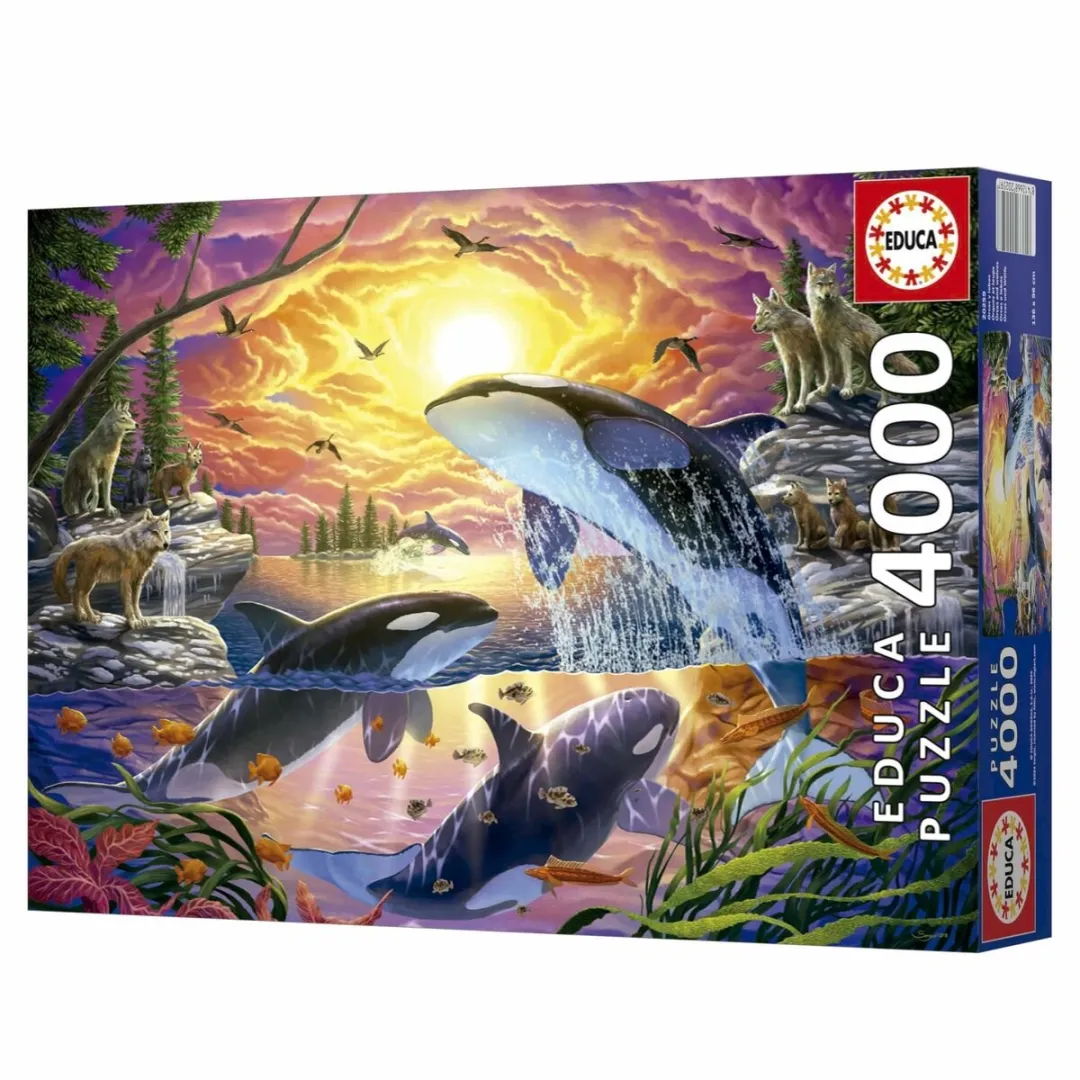 Educa Orcas y Lobos Puzzel 4000 Stuks