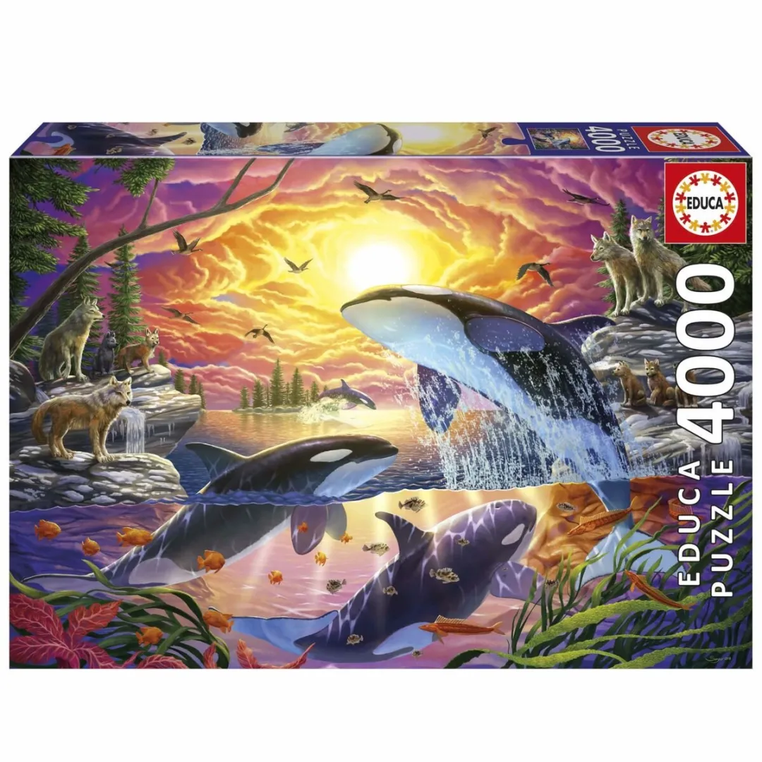Educa Orcas y Lobos Puzzel 4000 Stuks