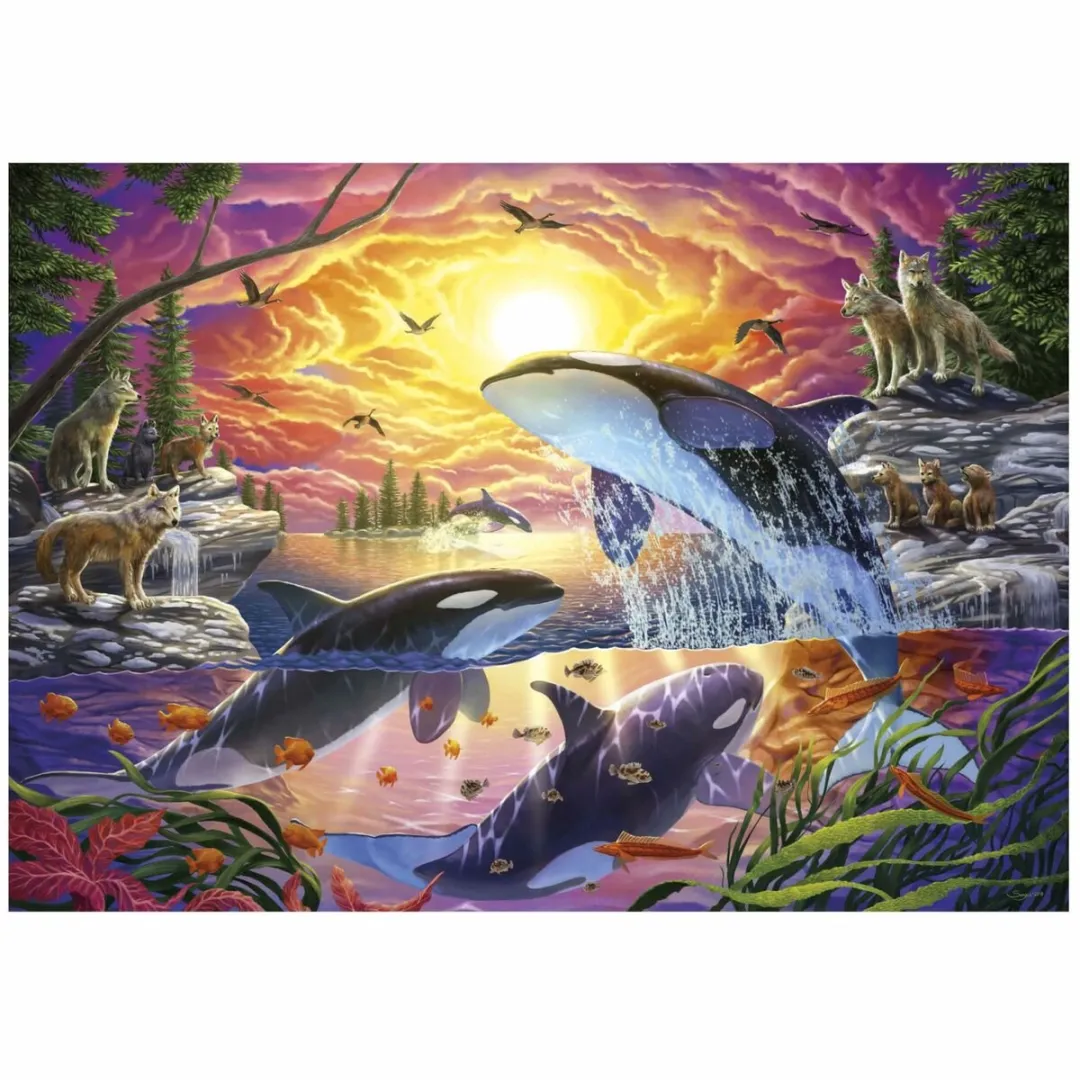 Educa Orcas y Lobos Puzzel 4000 Stuks