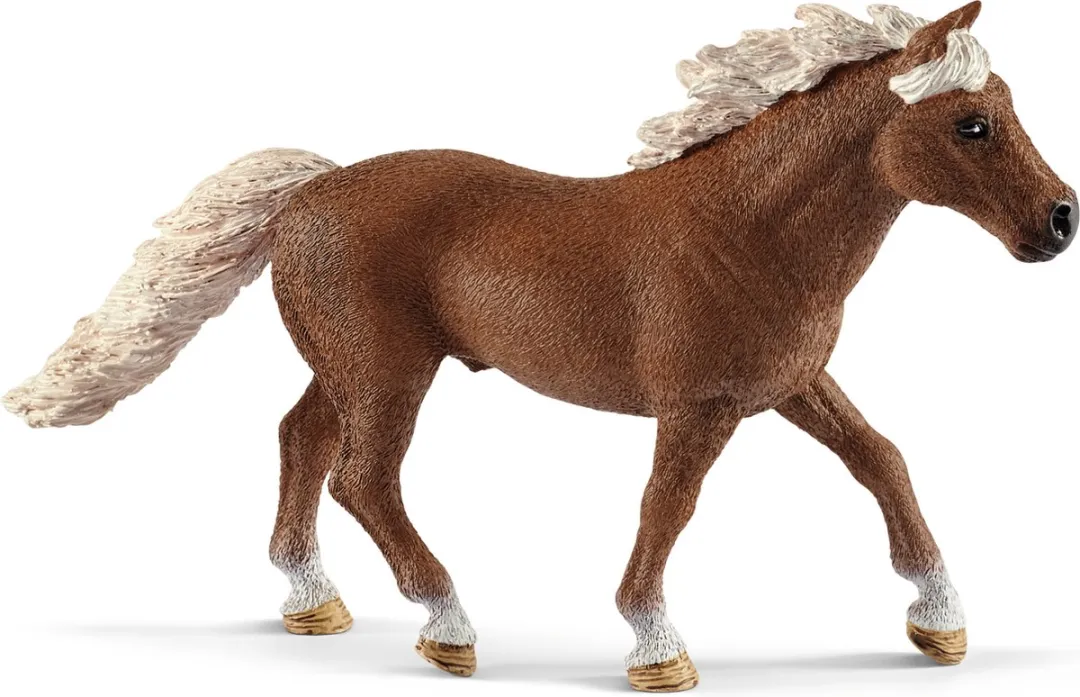 Schleich Pony Agility Training 42481 - Multicolor