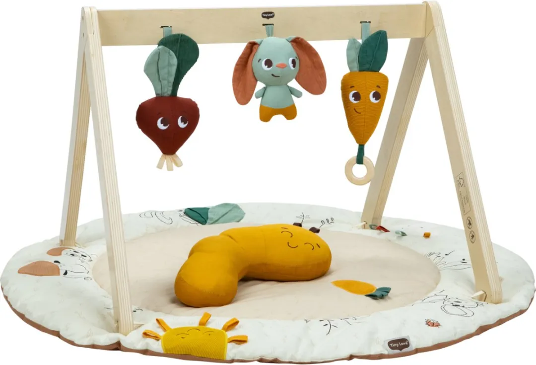 Tiny Love Luxe Gymini Garden Of Adventures