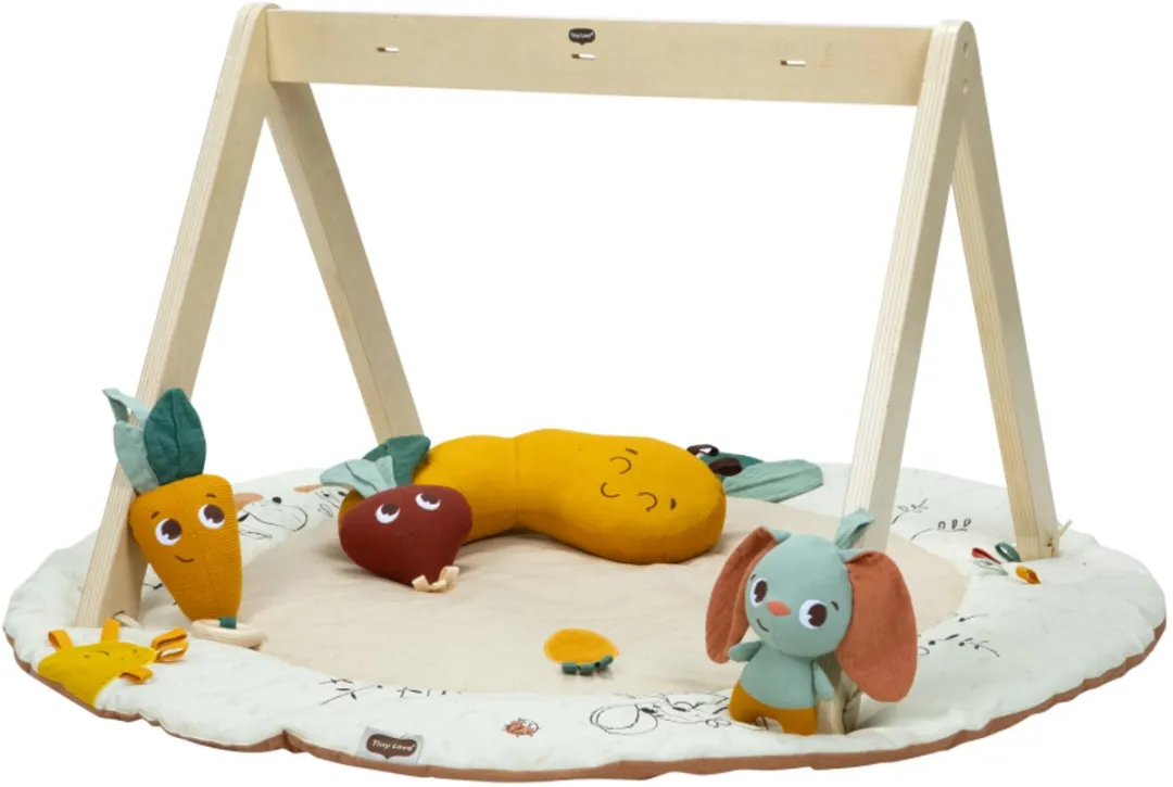 Tiny Love Luxe Gymini Garden Of Adventures - 20 Speelelementen - Multicolor