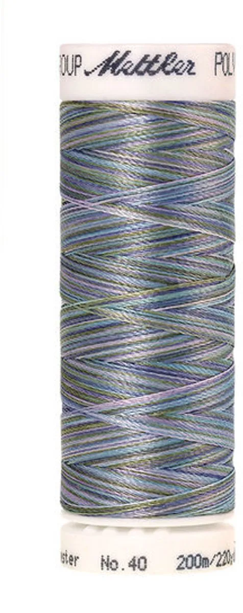 Amann Mettler Poly Multi Borduurgaren 9980