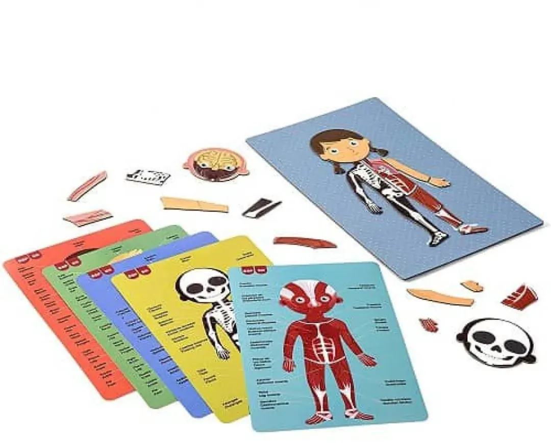 Apli Kids Magneetspel Menselijk Lichaam 63-delig - Multicolor - afbeelding 6 van 6