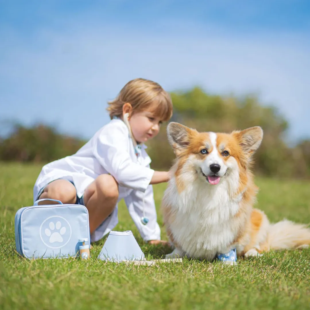 BIGJIGS Veterinaire Set 33002 - 12-delig - Blauw