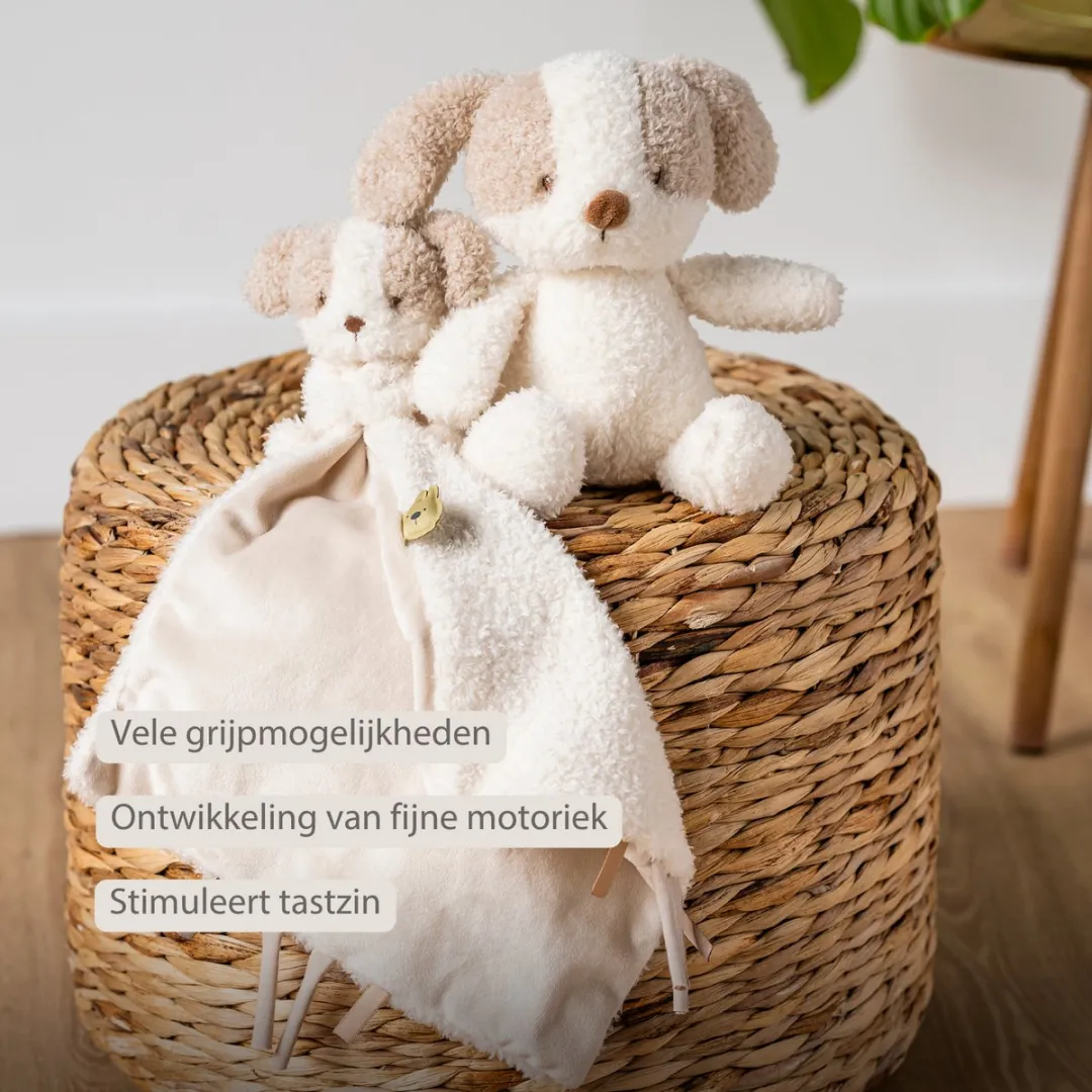 Nattou Teddy Knuffel Hond 25cm - Wit
