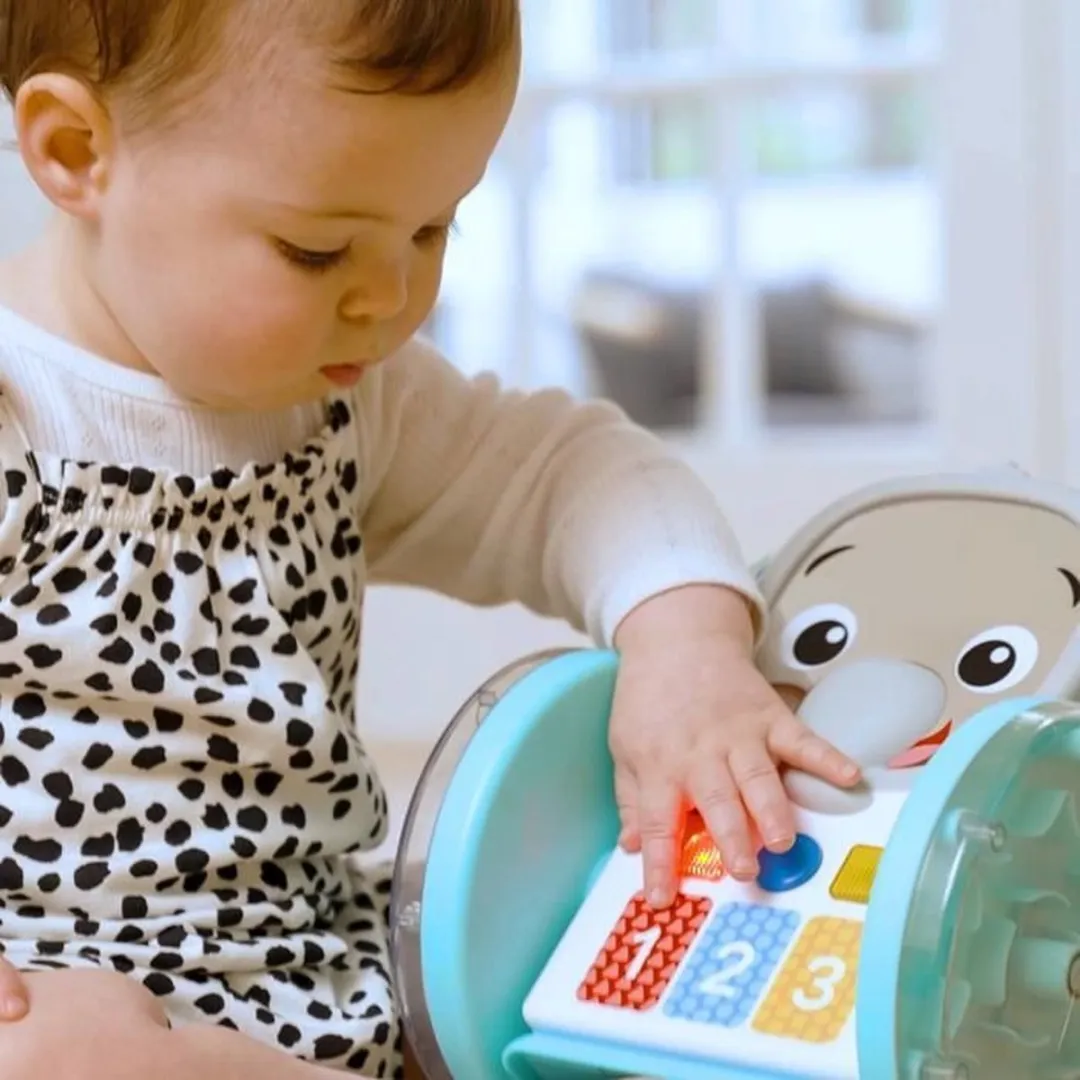 Baby Einstein Chase & Tap Earl - Multicolor