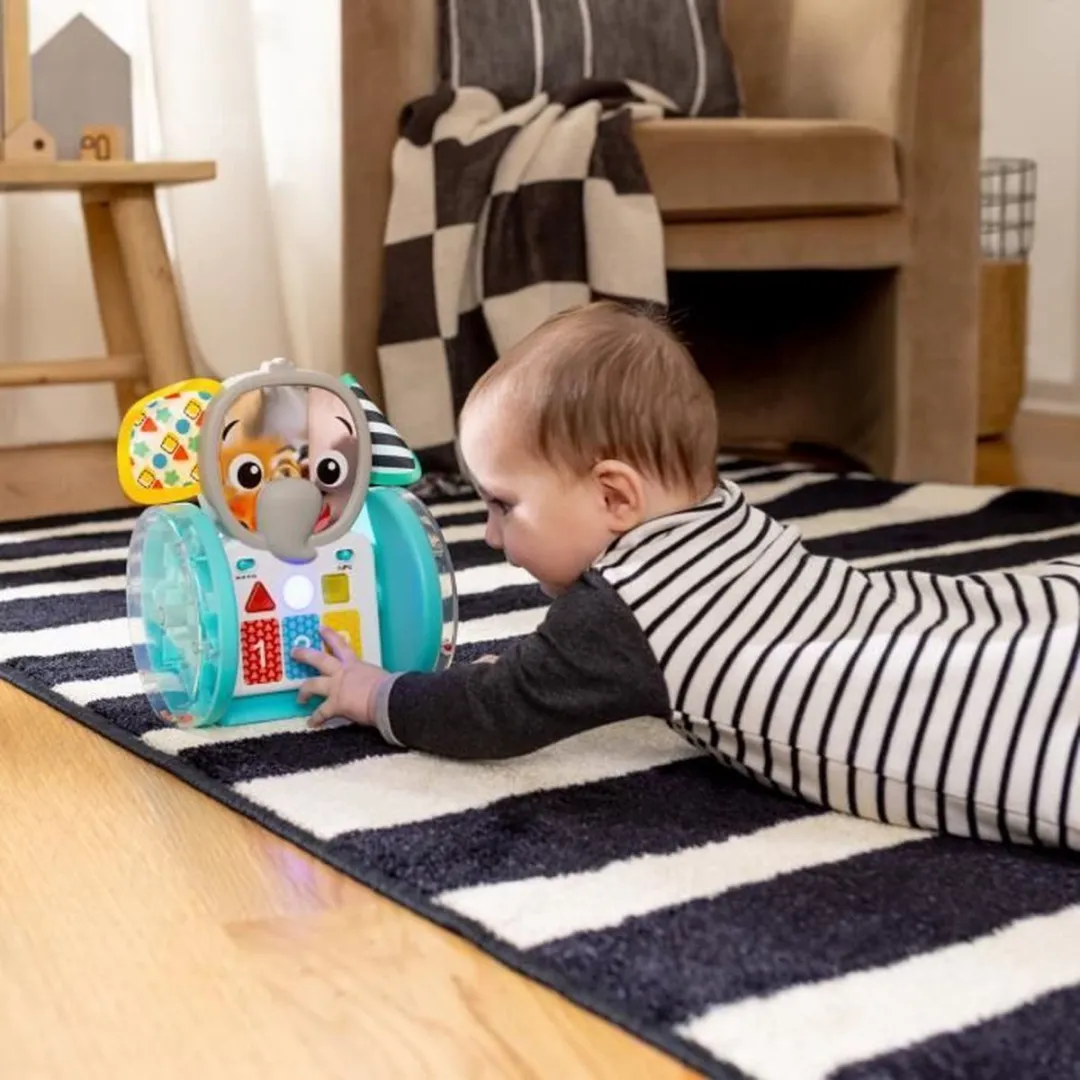 Baby Einstein Chase & Tap Earl - Multicolor