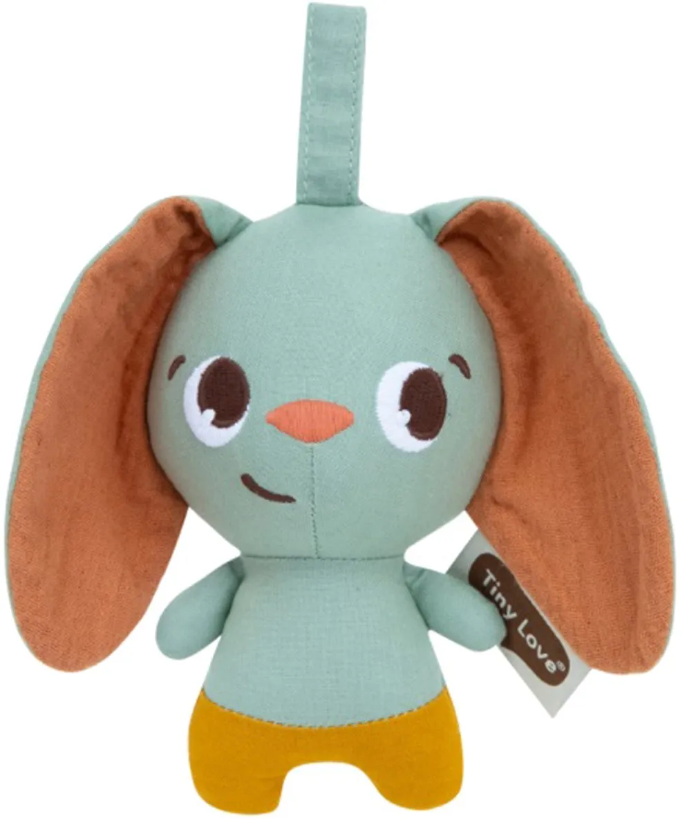 Tiny Love Tiny Smart Bunny