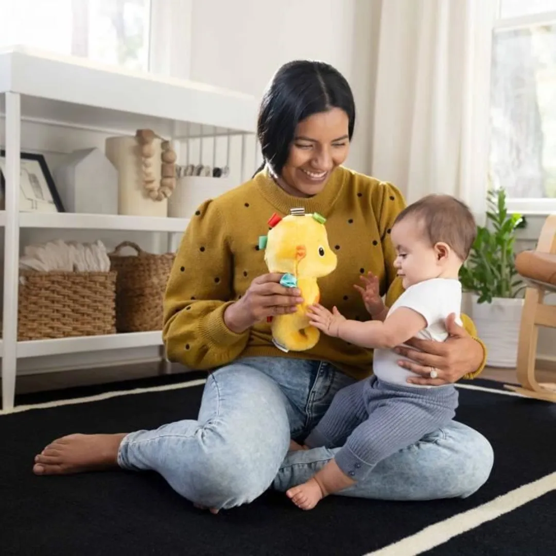 Baby Einstein knuffel zeepaardje pluche soother geel - baby speelgoed.