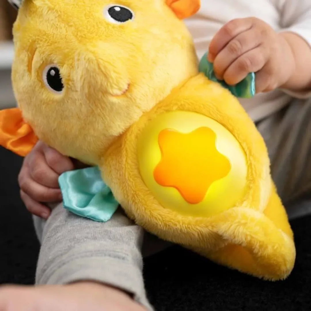 Baby Einstein knuffel zeepaardje pluche soother geel - baby speelgoed.
