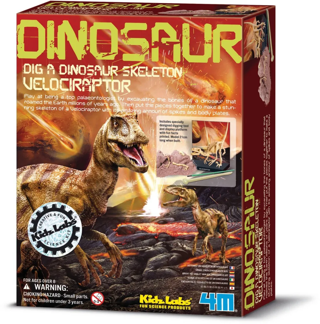 4M Kidzlabs Graaf je Dinosaurus op - Velociraptor