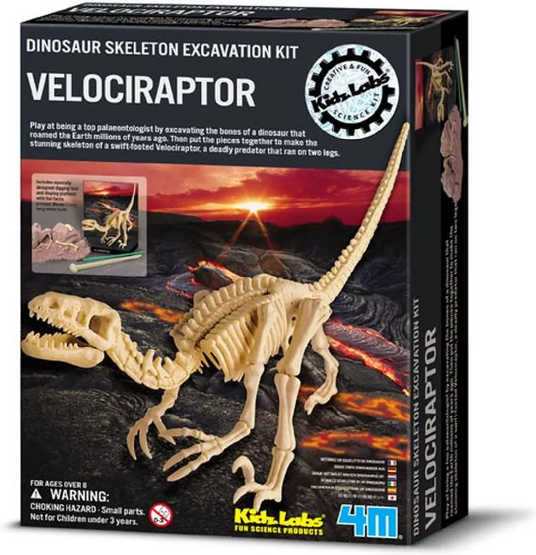 4M Kidzlabs Graaf je Dinosaurus op - Velociraptor