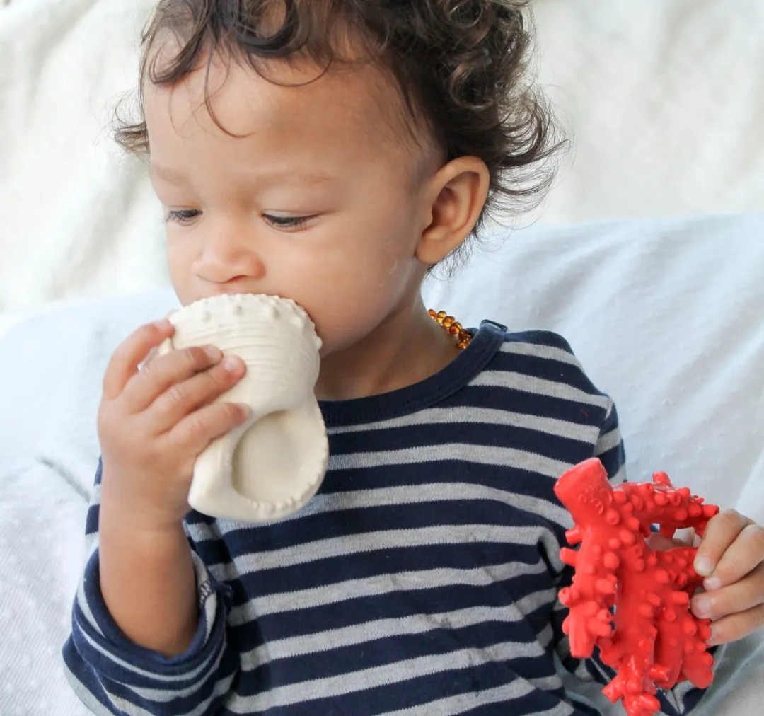 Lanco Rubberen Bijtspeeltje Schelp Wit