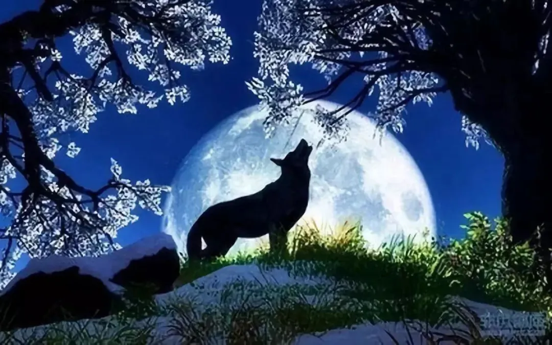 VDTOYS Diamond Painting VDT037 Howling