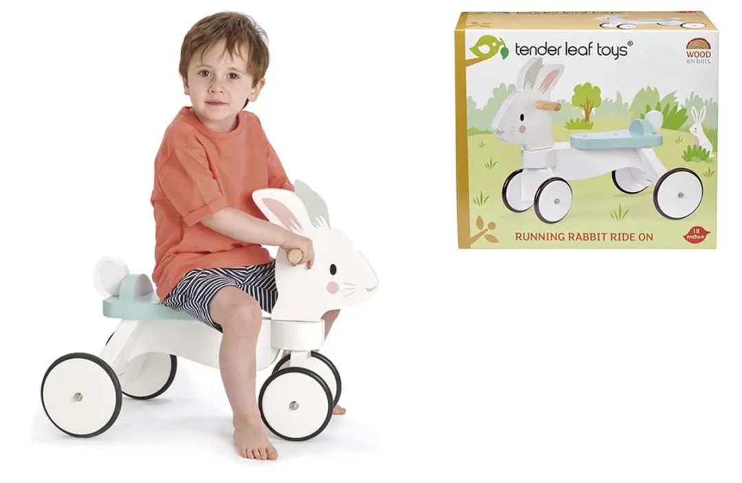 Tender Leaf Toys Loopfiets 4 Wielen