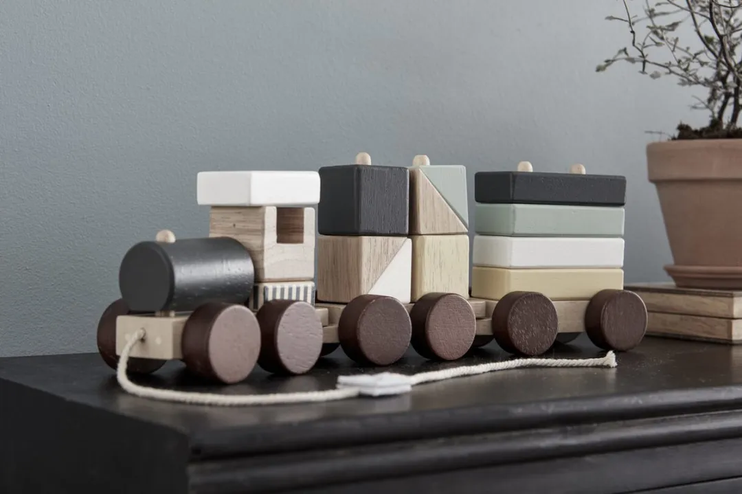 Kids Concept Trein met Blokken 1000140 - Multicolor