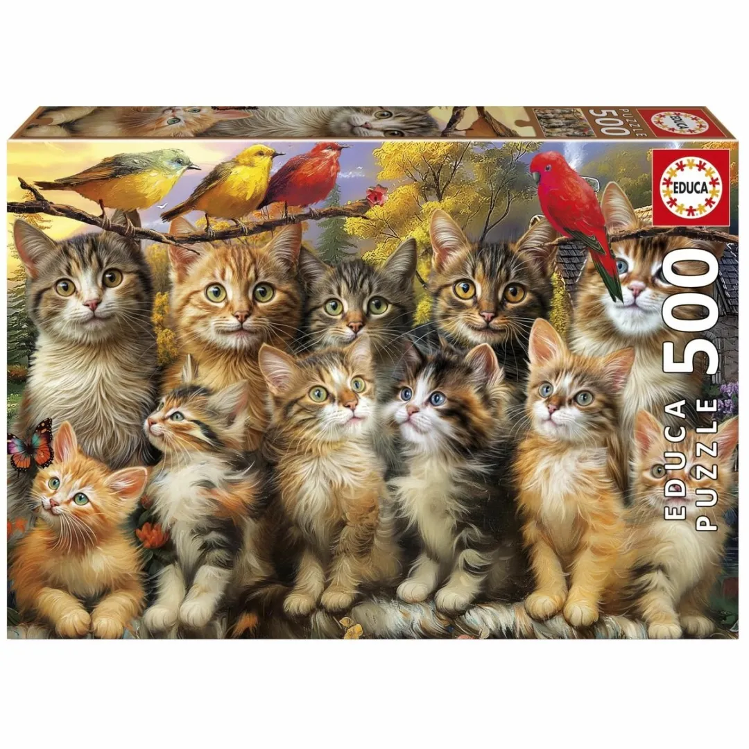 Educa Gatitos y Pájaros Puzzel 500 Stuks