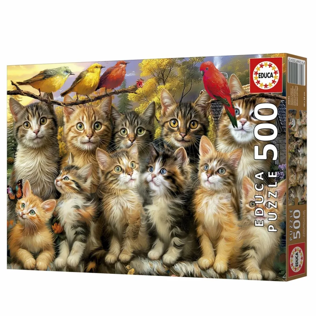 Educa Gatitos y Pájaros Puzzel 500 Stuks - Multicolor