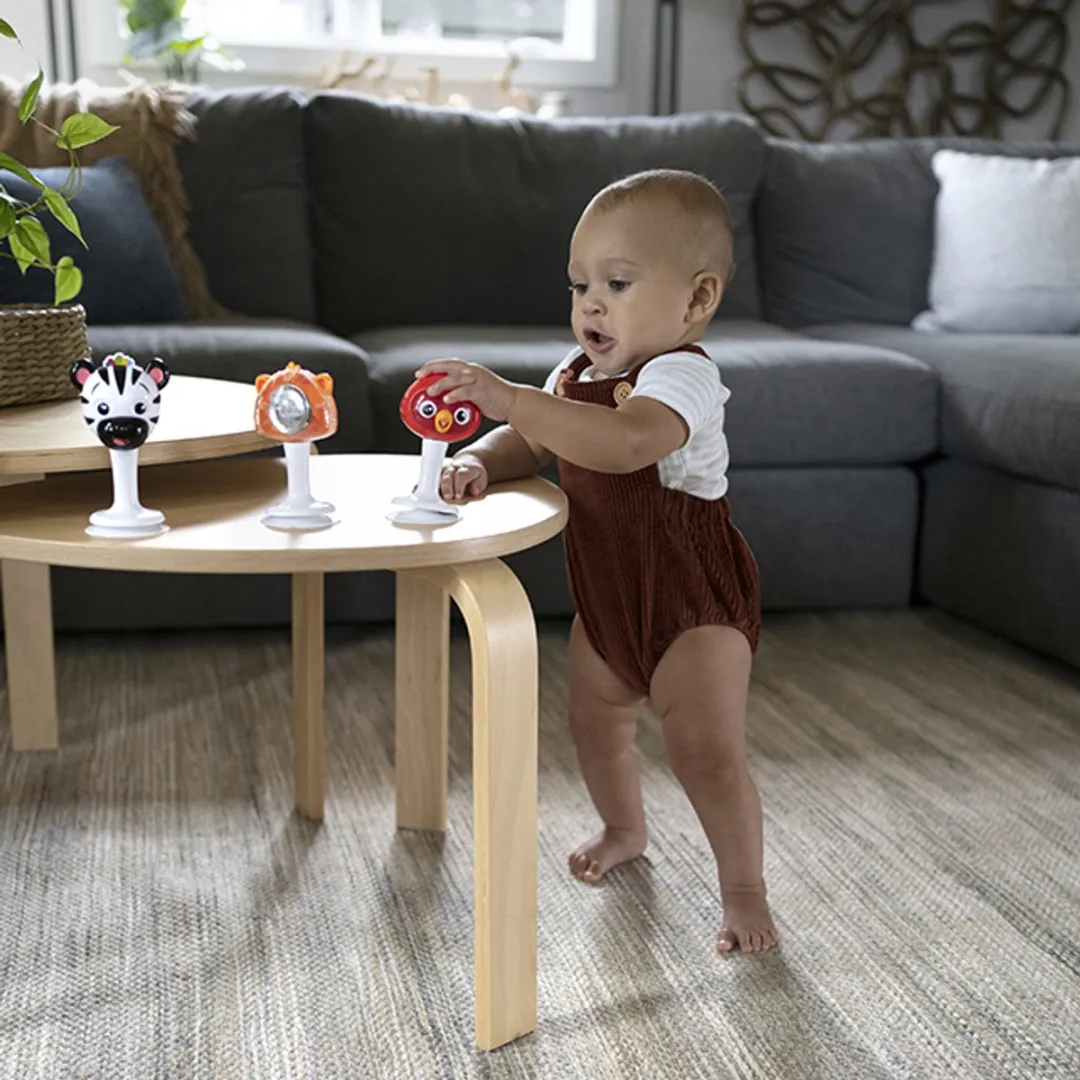 Baby Einstein Rammelaar Set - 3 Stuks Multicolor