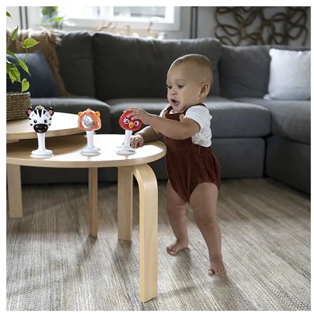 Baby Einstein Rammelaar Set - 3 Stuks Multicolor